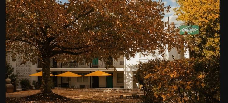 小摩德酒店在大学(Little Mod Hotel at the University)图片