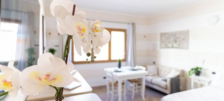 Vento Mare 公寓和套房 - 帕劳(Apartments & Suites Vento Mare)图片