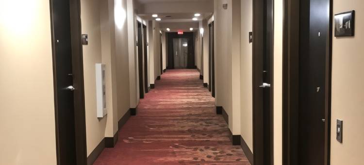 奥古斯塔艾森豪堡欢朋酒店(Hampton Inn by Hilton Augusta Fort Gordon)图片