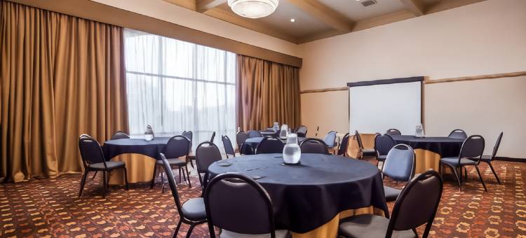 锡达布拉夫贝斯特韦斯特优质酒店(Best Western Plus Knoxville Cedar Bluff)图片