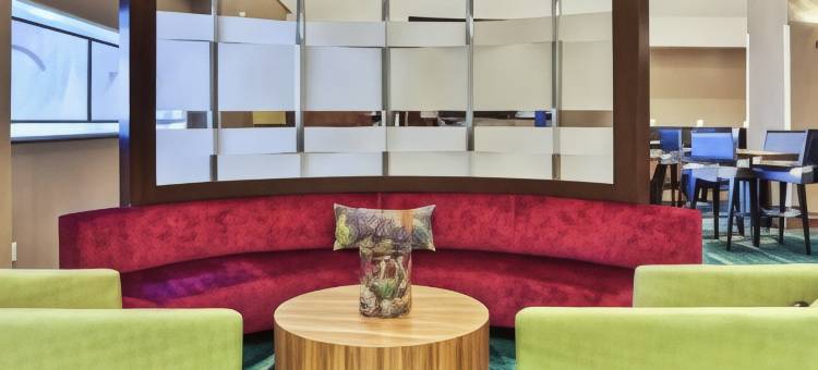 芝加哥埃尔姆赫斯特／橡树溪地区万豪SpringHill酒店(SpringHill Suites Chicago Elmhurst/Oakbrook Area)图片