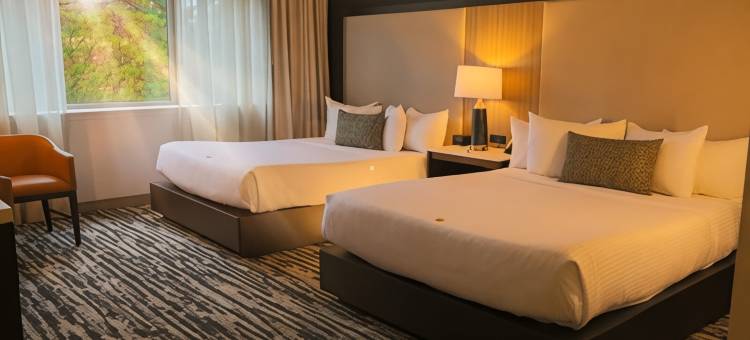 黑橡树 度假酒店(The Hotel at Black Oak Casino Resort)图片