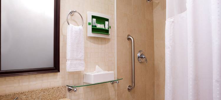 切尔西曼哈顿第六大道假日酒店(Holiday Inn MANHATTAN 6TH AVE - CHELSEA by IHG)图片