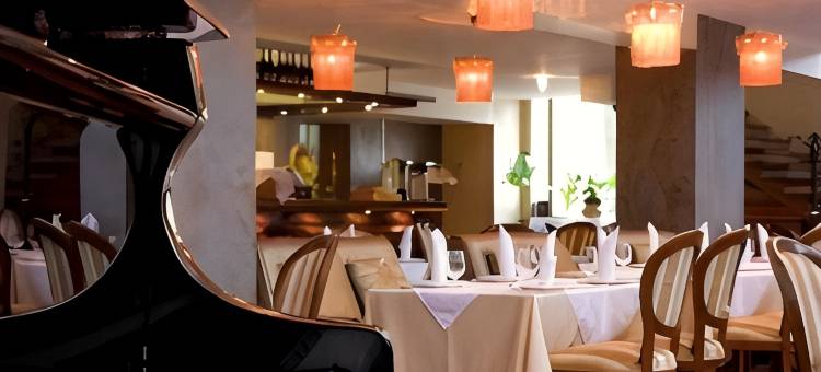 克莱佩达亚拉腊全套房酒店(Ararat All Suites Hotel Klaipeda)图片