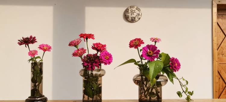 岳阳汀兰别院民宿图片