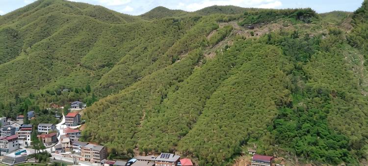 安吉丁峰山庄图片
