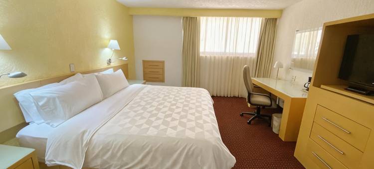 Holiday Inn 莫雷利亚(Holiday Inn MORELIA by IHG)图片