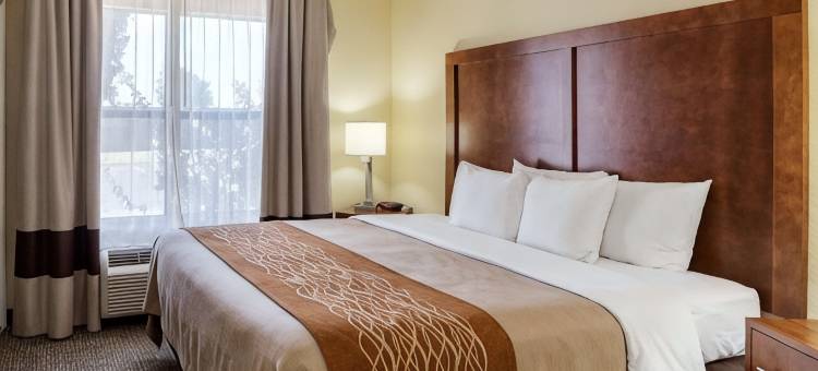 凯艺酒店(Quality Inn Olive Branch)图片
