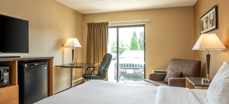 舒适酒店(Comfort Inn)图片