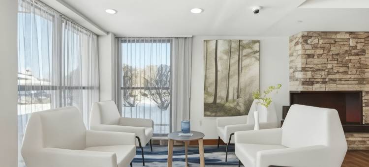 沃灵福德纽黑文万枫酒店及套房(Fairfield Inn & Suites Wallingford New Haven)图片