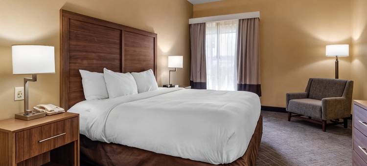 斯通山舒适套房酒店(Comfort Inn & Suites at Stone Mountain)图片