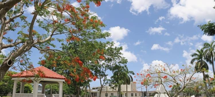 关岛机场南贝斯特韦斯特SureStay酒店(SureStay Hotel by Best Western Guam Airport South)图片