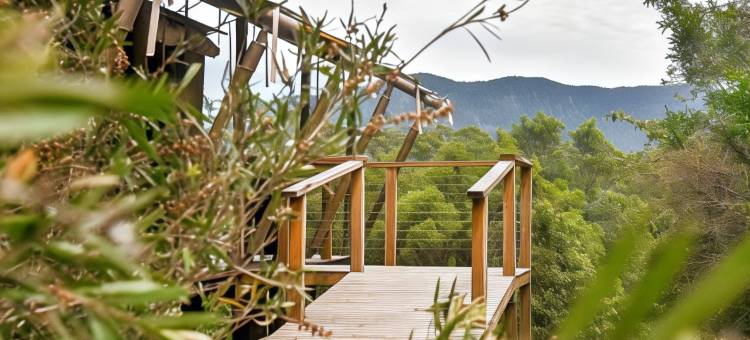 丝绸馆酒店(Silk Pavilions Glamping)图片