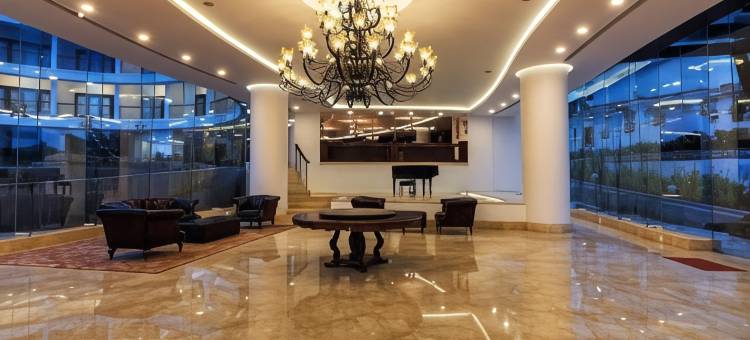 果阿柏伟诗酒店(Park Regis Goa)图片