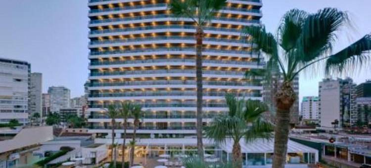 唐潘乔酒店-限成人(Hotel Don Pancho - Designed for Adults)图片