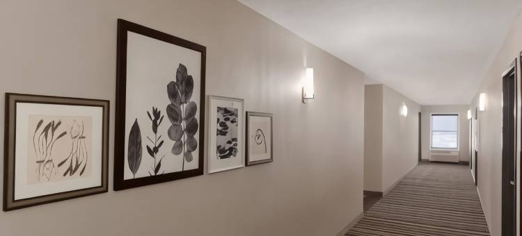 奇珀瓦福尔斯丽怡酒店(Country Inn & Suites by Radisson, Chippewa Falls, WI)图片