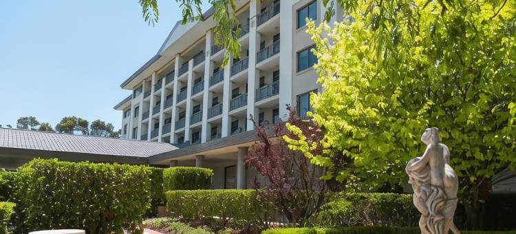 维西迪奥酒店(Visy Dior)图片