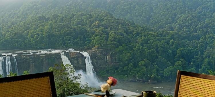 Flora Misty Falls Athirappilly图片