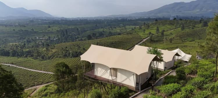 尼莫茶园度假村(Nimo Tea Resort)图片