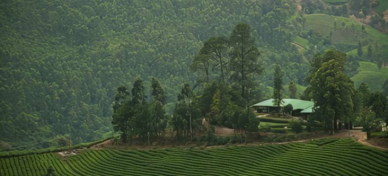 塔拉亚尔山谷小屋(Talayar Valley  Bungalow)图片