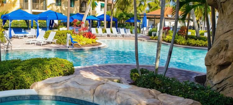 那不勒斯湾度假村及码头(Naples Bay Resort & Marina)图片