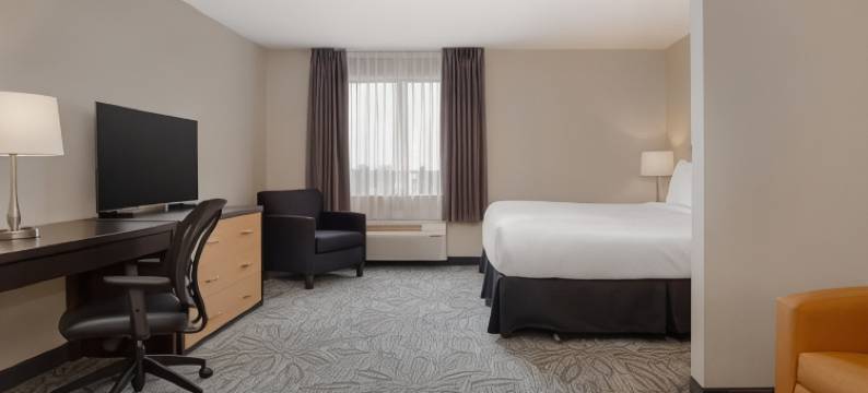 凯艺套房酒店(Quality Inn & Suites Kingston)图片