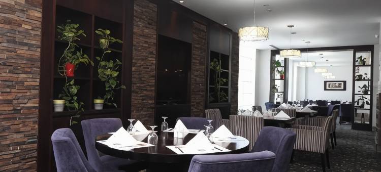 达曼商业园诺富特酒店(Novotel Dammam Business Park)图片