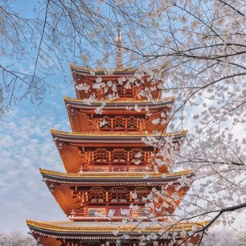 武汉2日1晚自由行