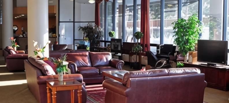 亚历克斯套房酒店(Alex Hotel and Suites)图片