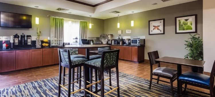 丹佛市贝斯特韦斯特优质套房酒店(Best Western Plus Denver City Hotel  Suites)图片