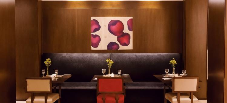 NH布宜诺斯艾利斯城市酒店(NH Buenos Aires City)图片