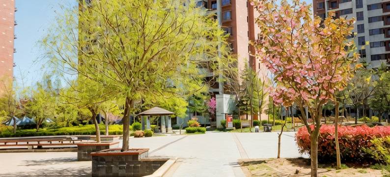 山东威海1030公寓(海晏街分店)图片