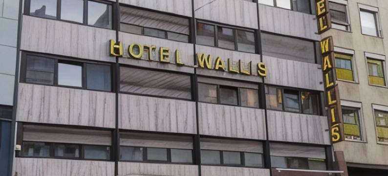 沃利斯酒店(Hotel Wallis)图片