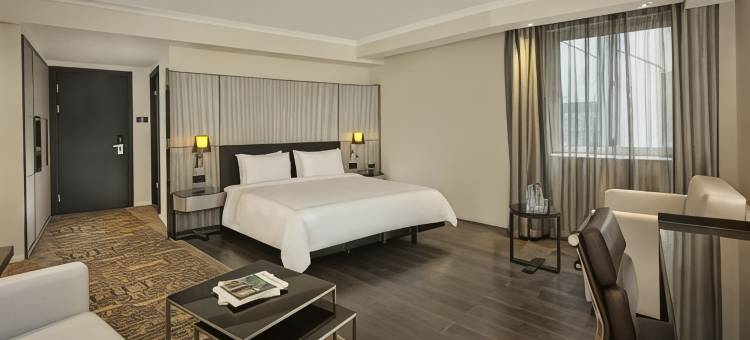 伦敦维多利亚丽亭酒店(Park Plaza London Victoria)图片