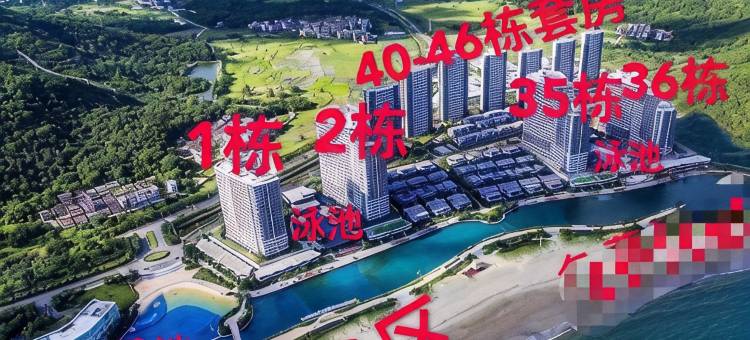 浪琴湾度假公寓(阳江海陵岛敏捷黄金海岸店)图片