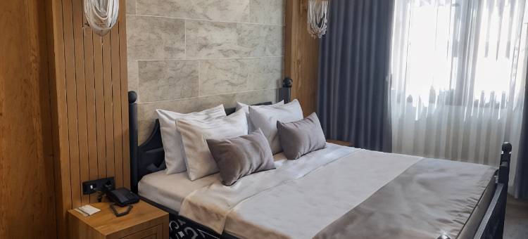 图里斯蒂克帕拉斯酒店(Turistik Palas Hotel)图片