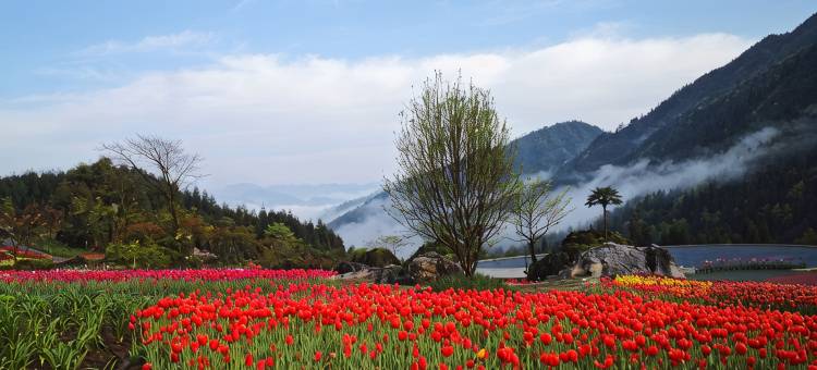 桌山黑石公园花田客栈图片