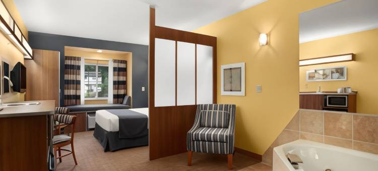 米利-罗切斯特机场麦客达套房酒店(Microtel Inn & Suites by Wyndham Chili/Rochester Airport)图片