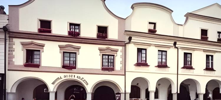 黄金之星酒店(Hotel Zlatá hvězda)图片