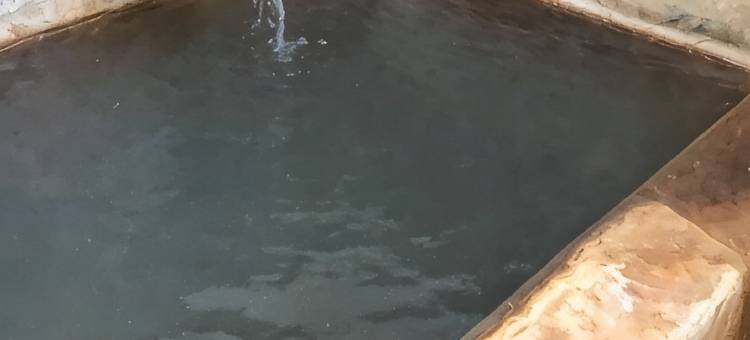 妙见温泉 乐园庄(Myouken Onsen Rakuensou)图片