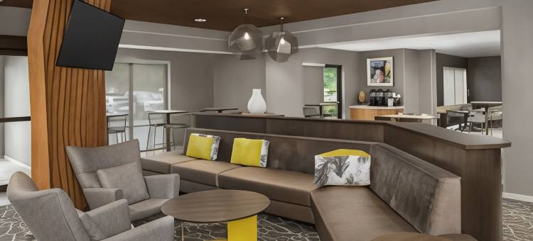 亚特兰大比福德 - 格鲁吉亚州购物中心 SpringHill Suites 酒店(SpringHill Suites Atlanta Buford/Mall of Georgia)图片