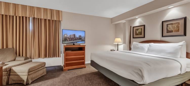 布法罗机场酒店(Buffalo Airport Hotel)图片