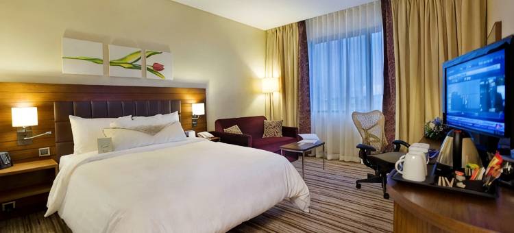 屈塔希亚希尔顿花园酒店(Hilton Garden Inn Kutahya)图片