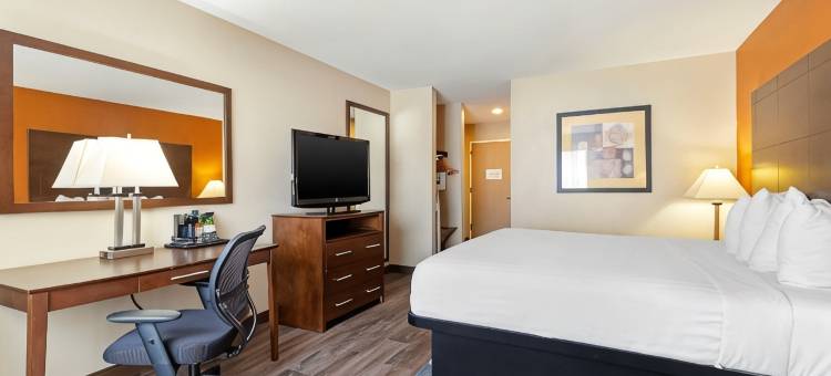 纽布朗费尔斯贝斯特韦斯特套房酒店(Best Western Inn  Suites)图片