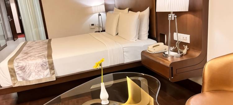 科库恩豪华商务酒店(Cocoon Luxury Business Hotel)图片