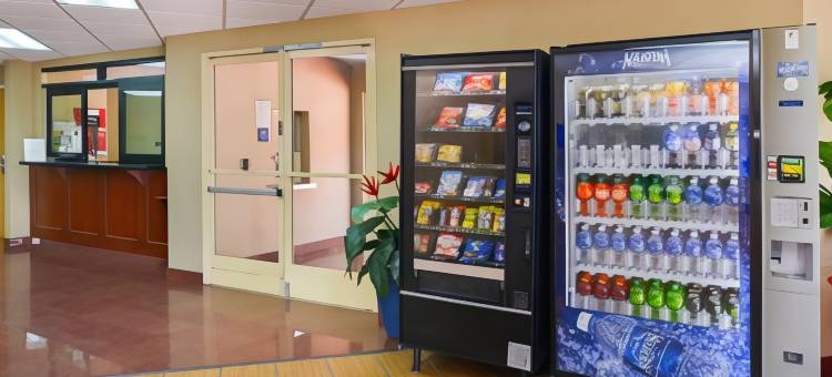 H3套房酒店-洛杉矶LAX机场(H3 Inn & Suites - LAX Airport - Los Angeles)图片