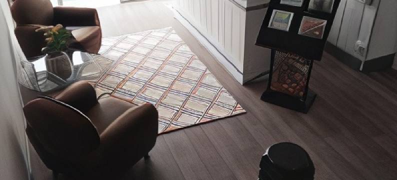 莱斯瑟尔姆斯酒店(Hôtel les Thermes)图片