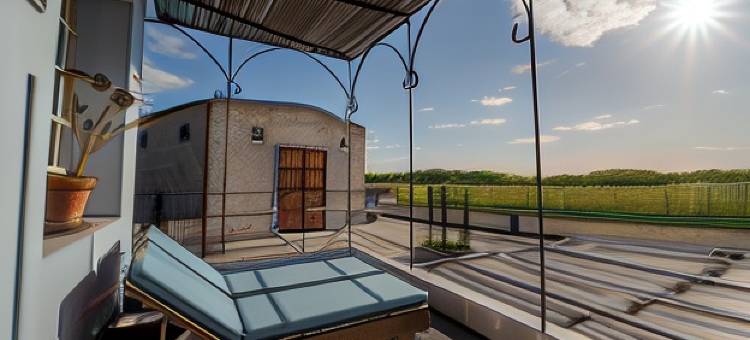 纳博讷酒庄旅馆(Narbona Wine Lodge)图片