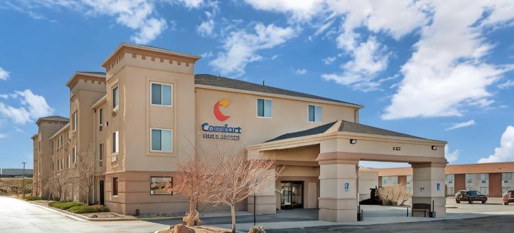 罗林斯舒适酒店(Comfort Inn & Suites)图片