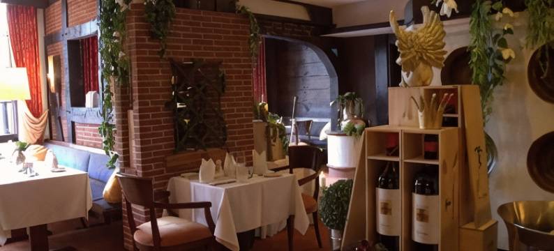 罗曼提斯切斯曼扎萨酒店(Romantisches Hotel Menzhausen)图片